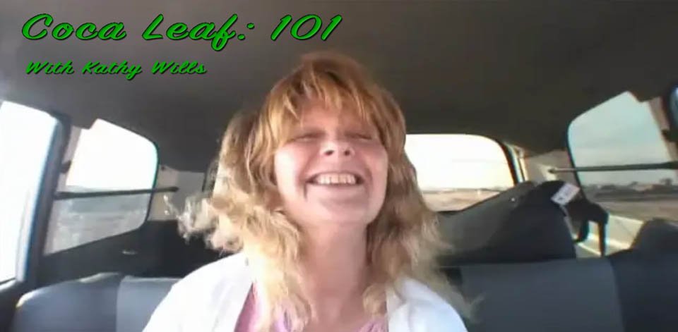 Coca Leaf 101